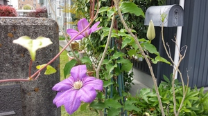 20150419_140033[1].jpg